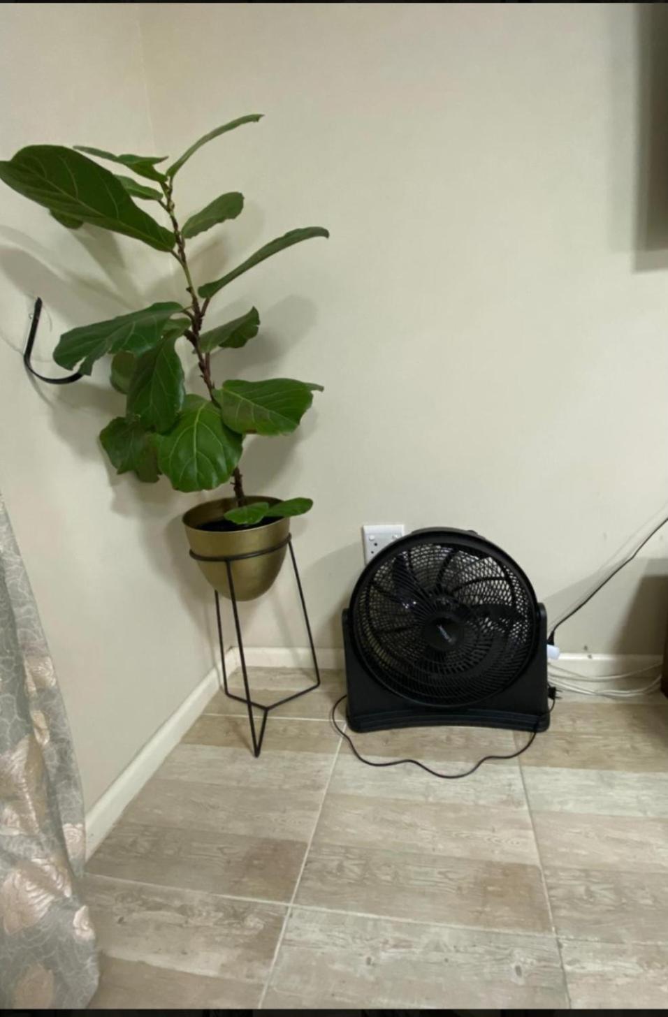 Cleo's Corner Apartment